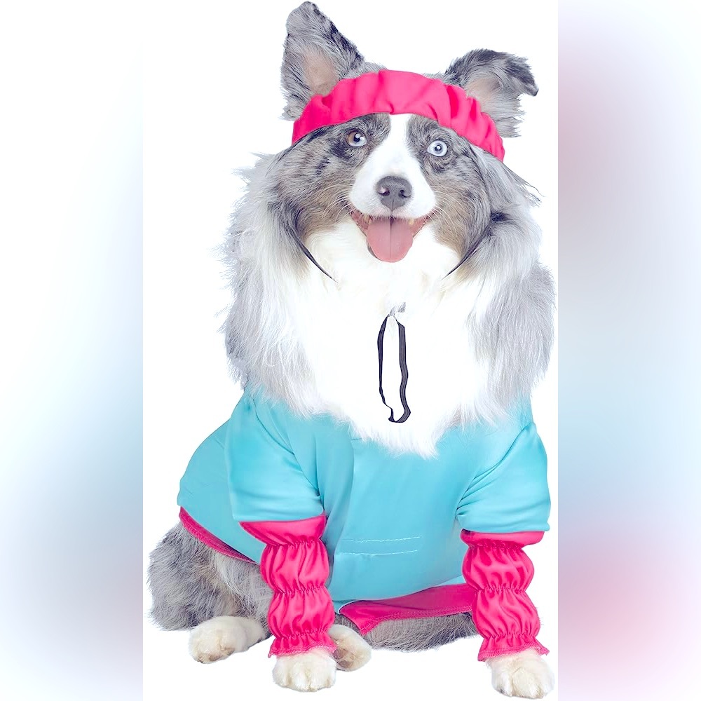 NEW | Barbie Aerobics 2-Pc Dog Costume | Size Medium (18-28 lbs)